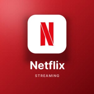 Netflix Single Screen – 2 Months