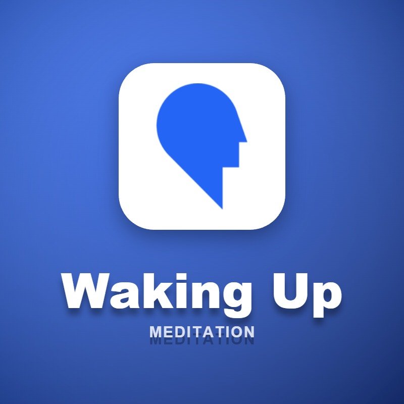 Waking Up – 12 Months
