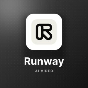 Runway Pro – 1 Year